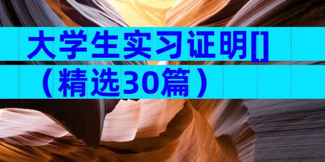 大学生实习证明[]（精选30篇）